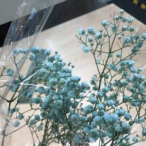 Blackish Green(Prod by EVOMUSIC)