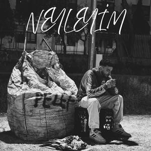 neyleyim
