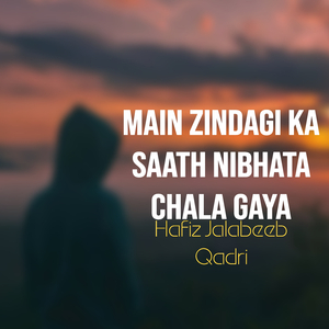 Main Zindagi Ka Saath Nibhata Chala Gaya