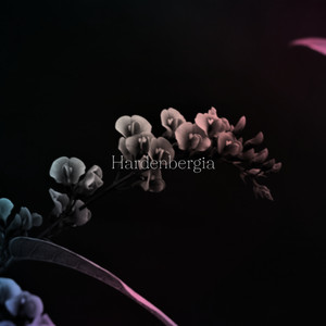 smoke(Hideki Hoshi remix)