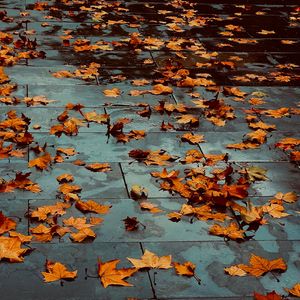 西津渡-华灯初上 伴奏