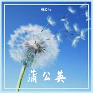 蒲公英