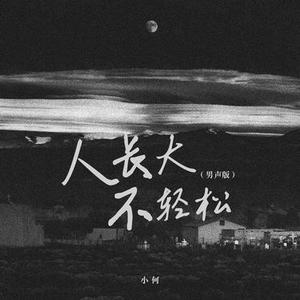 人长大不轻松  (男版)