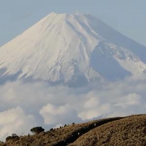 ITJ Theme - Journey from the Sea