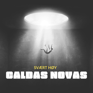 Seven O'clock in the Morning in the Forest