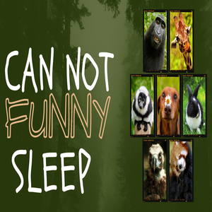 Can Not Funny Sleep