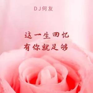 关泽楠 - 这一生回忆有你就足够 (DJ何友版）