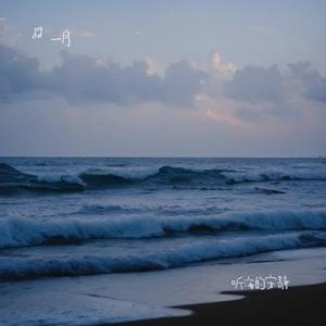 海边的相遇