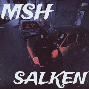 MSH SALKEN