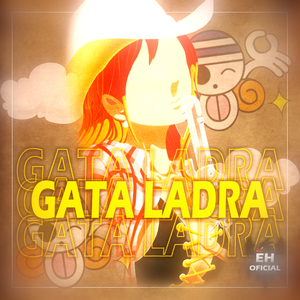 Gata Ladra