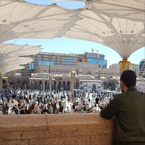 King or Bedouin (Vocals Only)