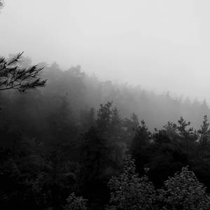 The Hills