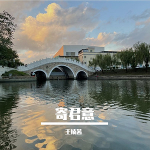 寄君意