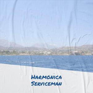 Harmonica Serviceman