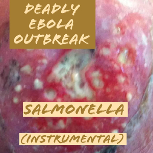 Salmonella (Instrumental)