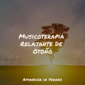 Esperan Viajes Místicos