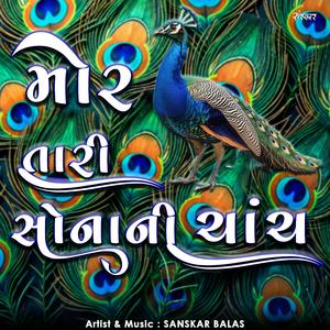 Mor Taari Sonani Chanch || મોર તારી સોનાની ચાંચ