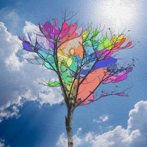 六月最后的落叶