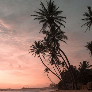 等风（舒缓助眠音乐3分钟入睡）