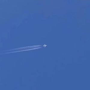 浪漫至死不渝demo