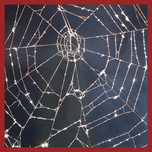 Carpenter Variations