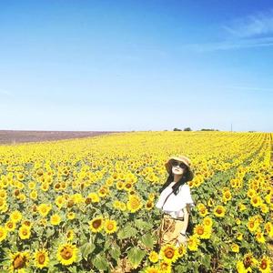 问（竹笛《神雕侠侣》主题曲）（翻自 陈淑桦）