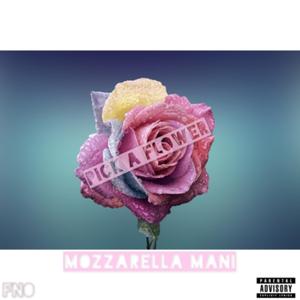 Pick A Flower (Radio Edit)