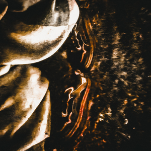 Я не проживу это лето