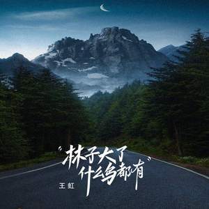 林子大了什么鸟都有