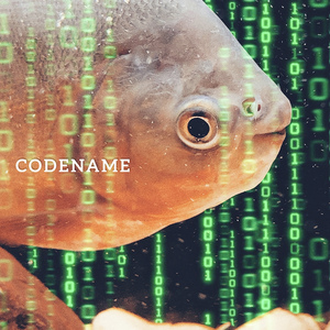 Codename