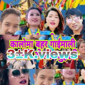 Kaloma Bahara Gai Mali (feat. Babita Pakhrin & Lakpa Dorje Glan)