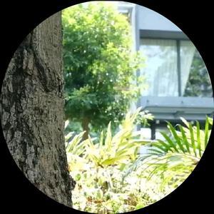 三国恋-仿杰伦声线版