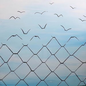 Keep the pace of my life