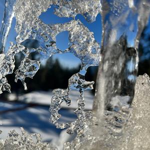 Haunted Passion (feat. King Wicked & Cartoon Bondurant)