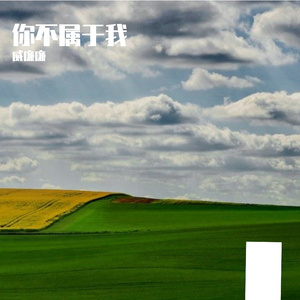 你不属于我（Cover:周兴哲）