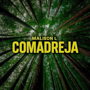 Comadreja