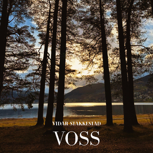 Voss