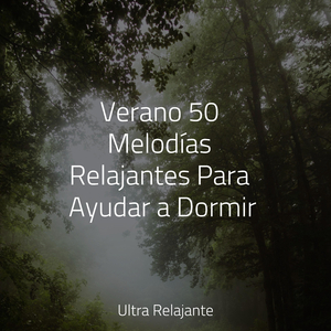 Perdido en El Paraíso