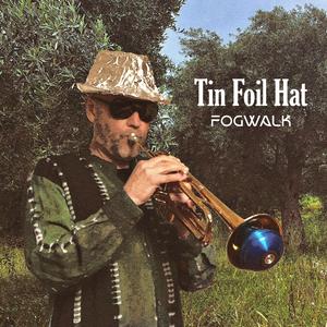 Tin Foil Hat