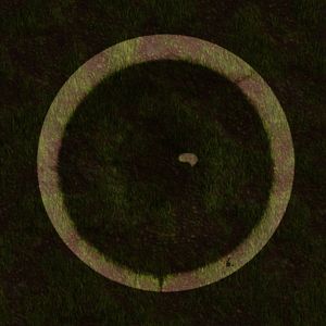 Loneliness is better