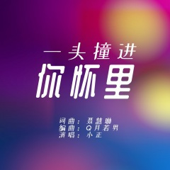一头撞进你怀里 (DJ版)