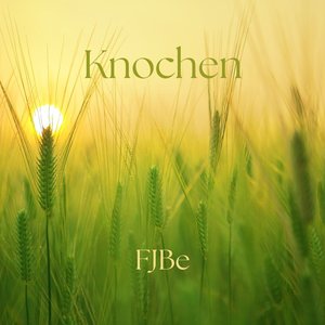 Knochen