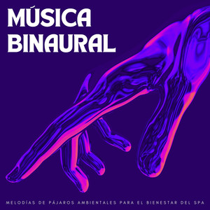 Alas Melódicas En El Abrazo Del Spa