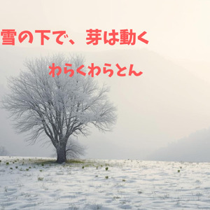 雪の下で、芽は動く
