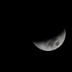 Moonlight Moves