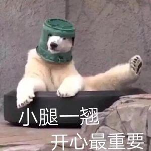 撩你日记