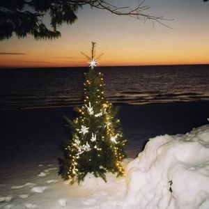 安静陪你过圣诞节