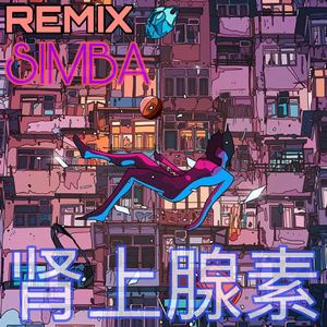 肾上腺素（Remix）