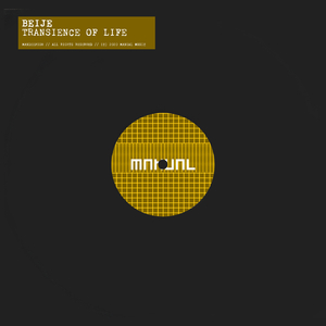 Transience Of Life