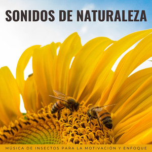 Tonos Inspiradores Del Coro De La Naturaleza